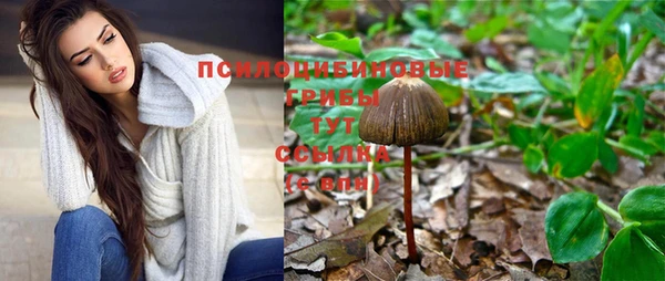 прущие крисы Верхний Тагил