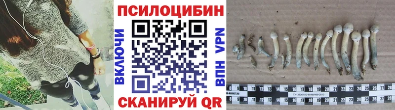 Галлюциногенные грибы GOLDEN TEACHER  Жиздра 